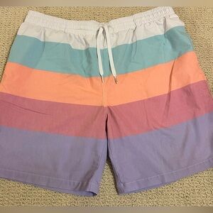 Chub­bies The Flavor Swim Trunks XXL